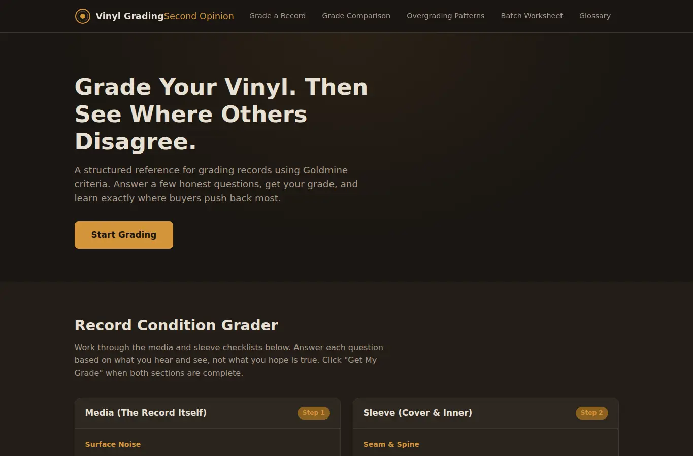 Screenshot of Vinyl Grading Second Opinion interface showing the project page in use